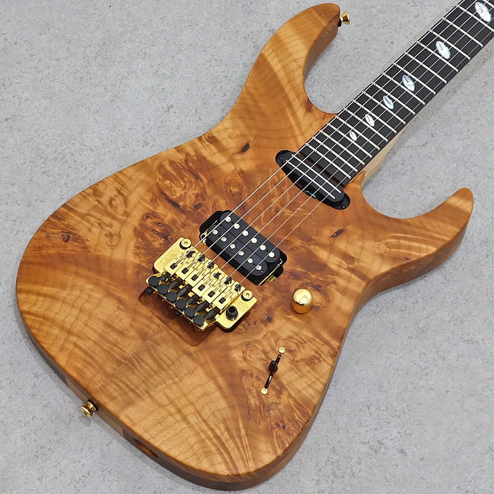 Sugi DH496C BM-PRM/HM/F-MAHO2P LLG｜ミュージックランドKEY