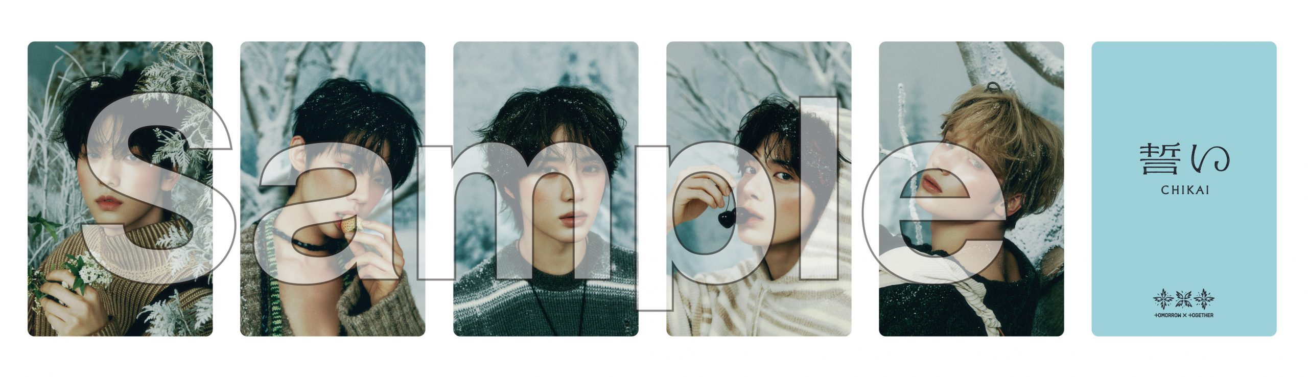 TOMORROW X TOGETHER日本4thシングル「誓い (CHIKAI)」CD購入特典絵柄