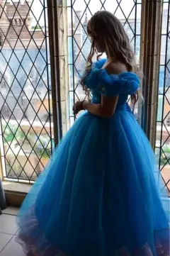 2026年最新】シンデレラ 実写 ウィッグの人気アイテム - メルカリ