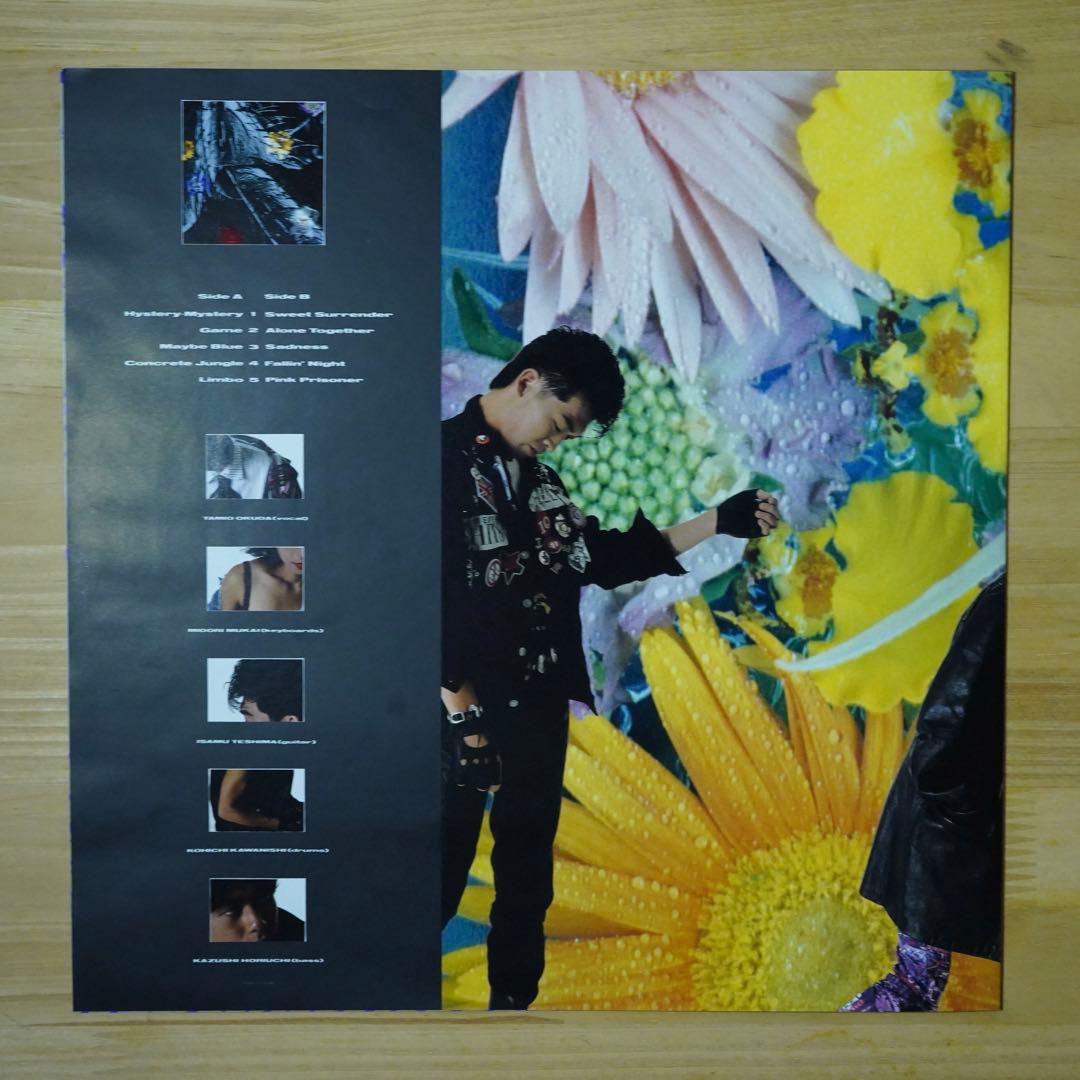 UNICORN BOOM レア盤！見本盤 ユニコーン 奥田民生 LP レコード - メルカリ